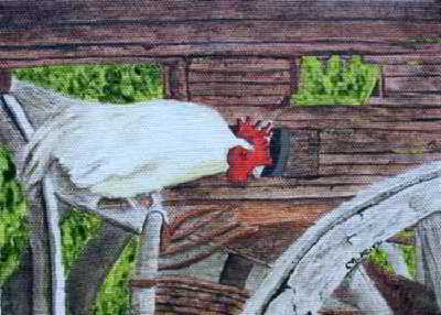 Close Inspection original watercolor painting