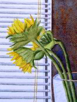 Nodding Off original watercolor painting