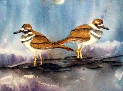 Opposites original watercolor painting