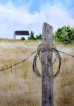 Lonesome Rail original watercolor painting